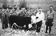 Brasstown Beef family farming heritage